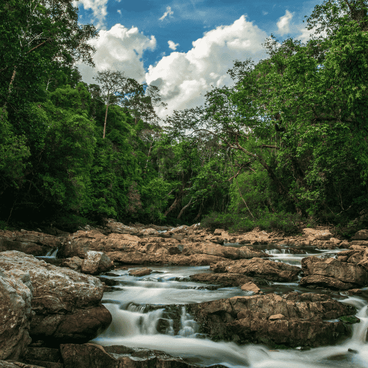 3. Taman Negara: