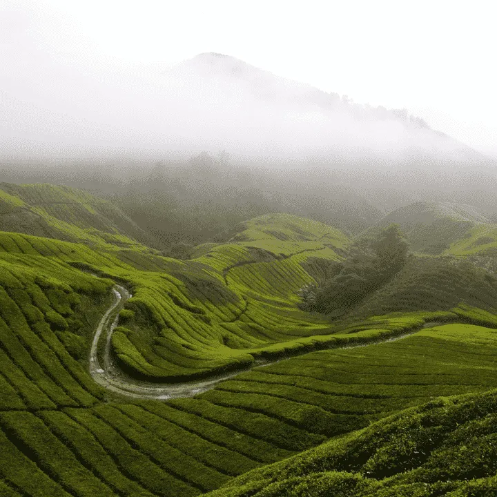 malaysia-valleys