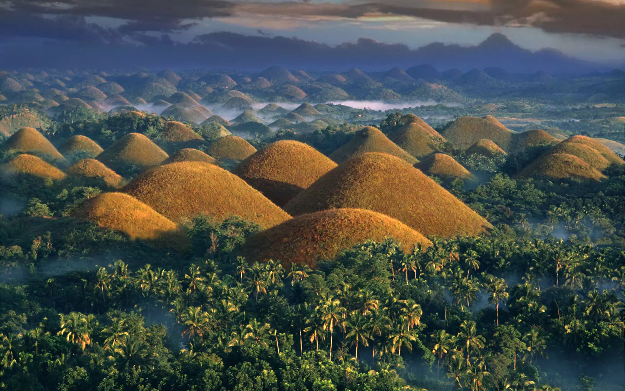 Visit the Chocolate Hills