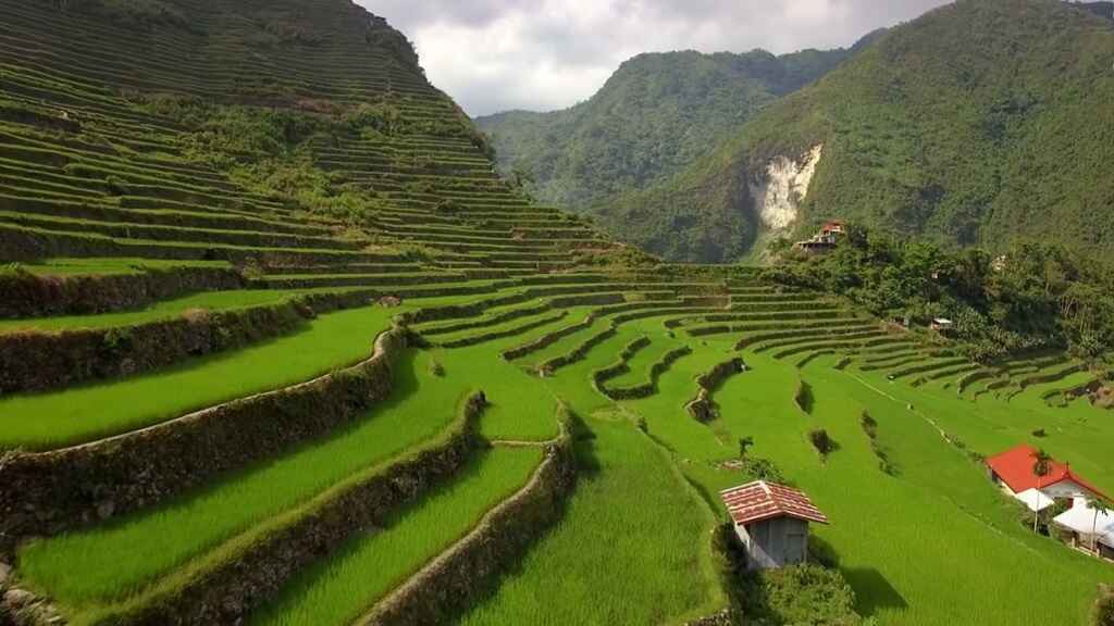 3.	Hike the Banaue Rice Terraces