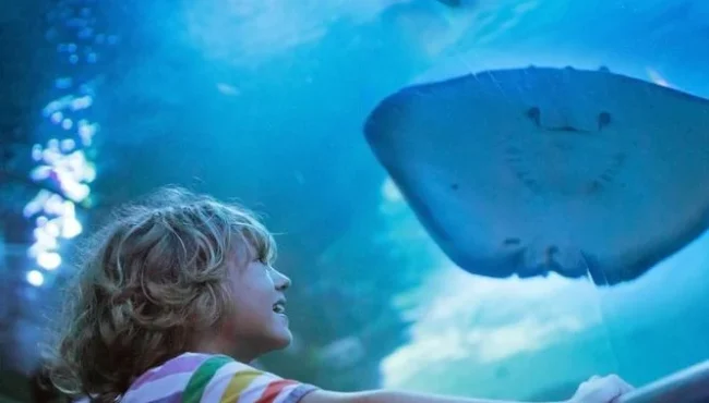 explore-the-antalya-aquarium